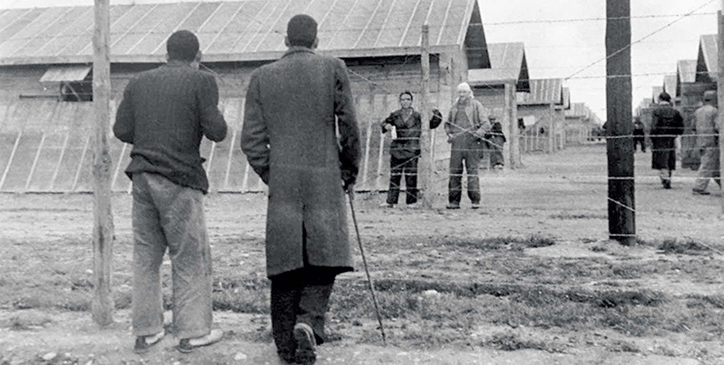 El Campo de Bram de Agustí Centelles en Elche