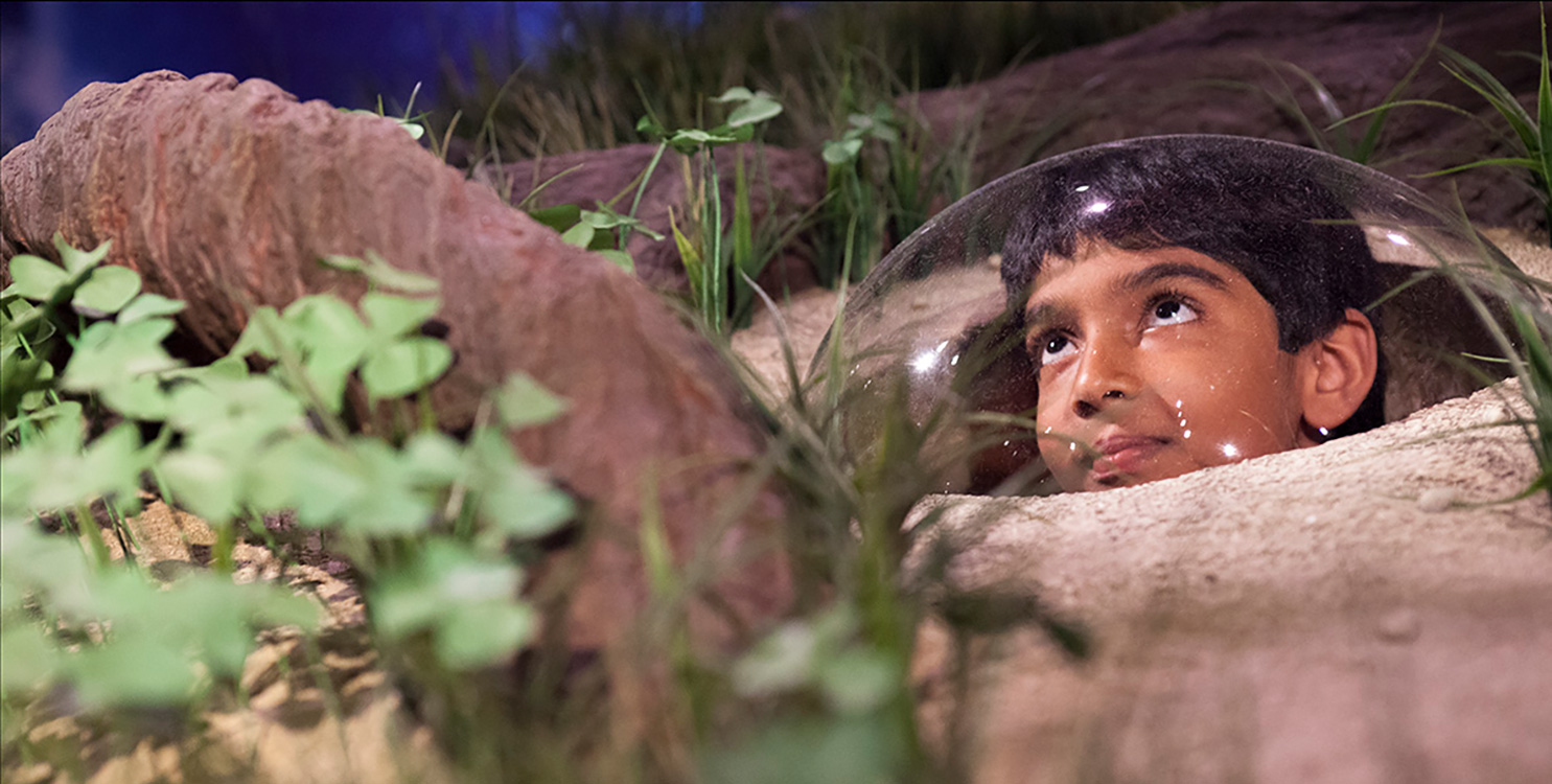 Un niño interactuando con una de las secciones de la exposición.
