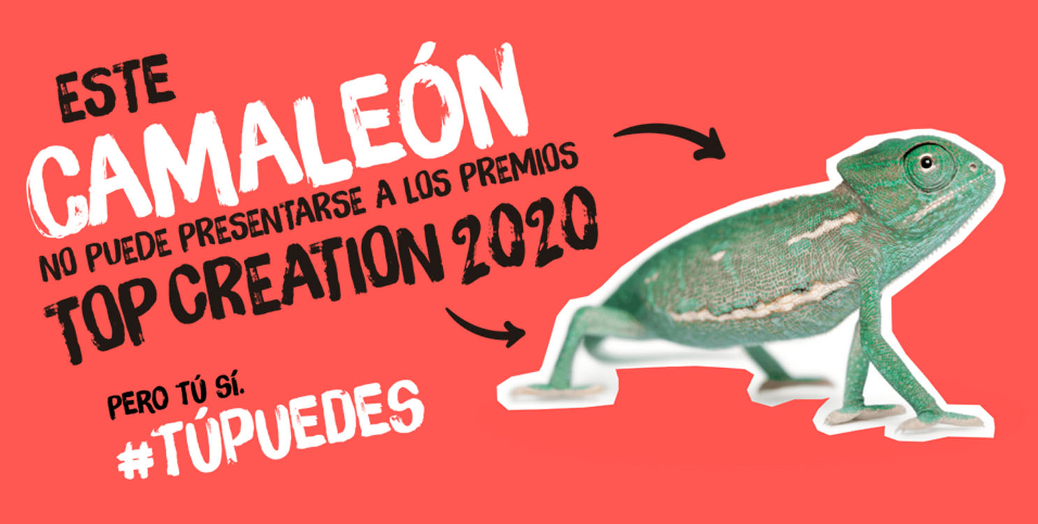 18ª edición de los Premios "Top Creation" de la Diputación de Alicante
