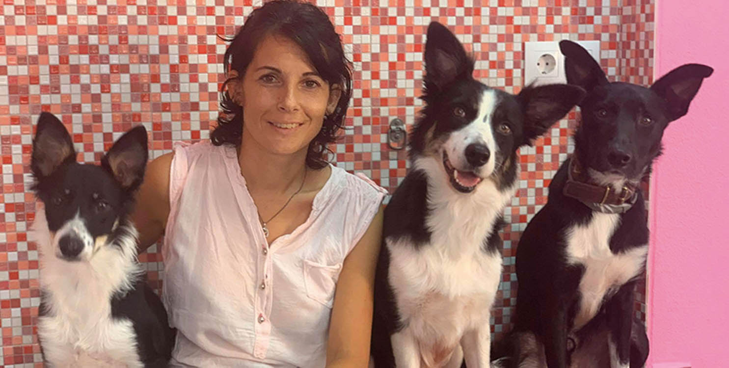 Adonis caninos en Chiki Dogs 