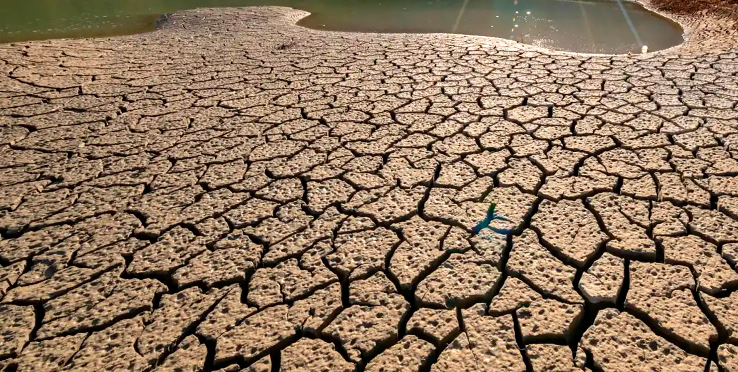 Campaña contra la desertización, "Gotas de Realidad", en L’Aljub Elche