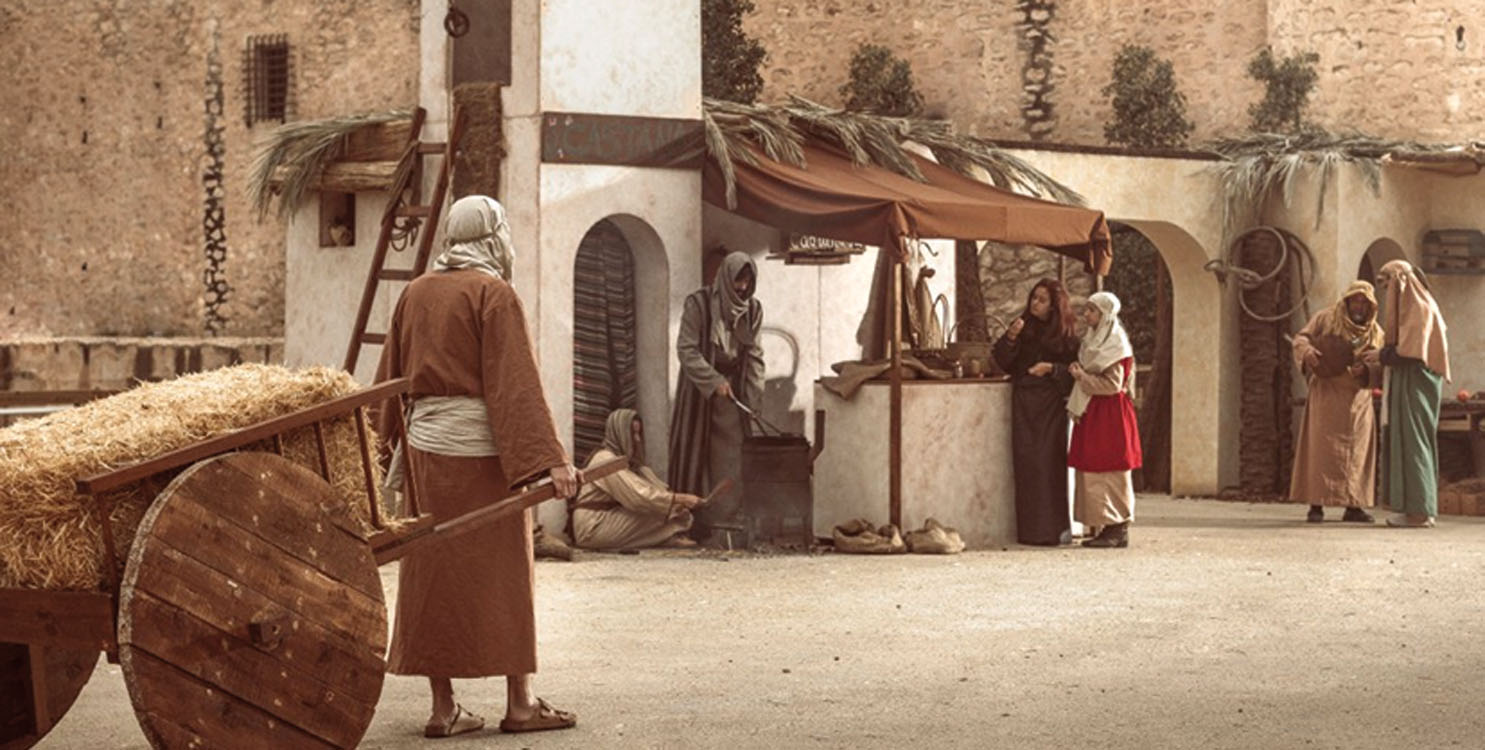 Elche en fiestas navideñas 