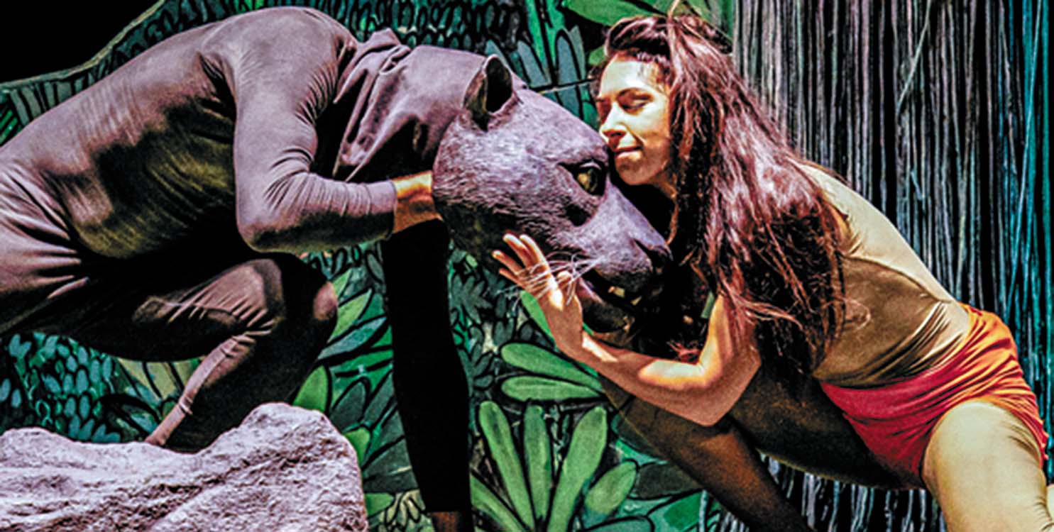 Gala de Danza Contra el C&aacute;ncer y "&iexcl;Soy Salvaje!" en el Teatre Calder&oacute;n d&rsquo;Alcoi 