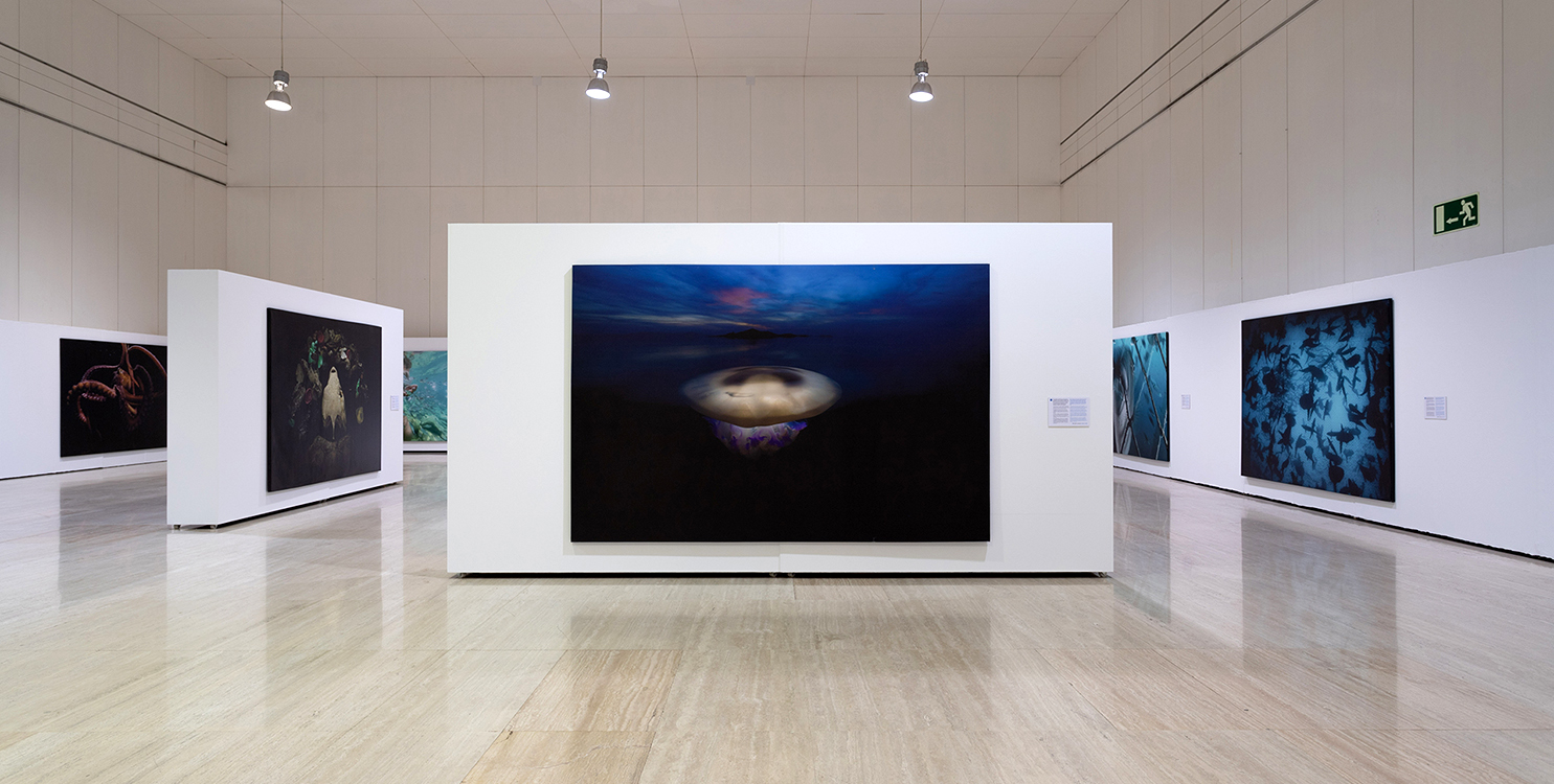 "Mare Lucidum", fotografía marítima de Ángel Fitor en el MUA