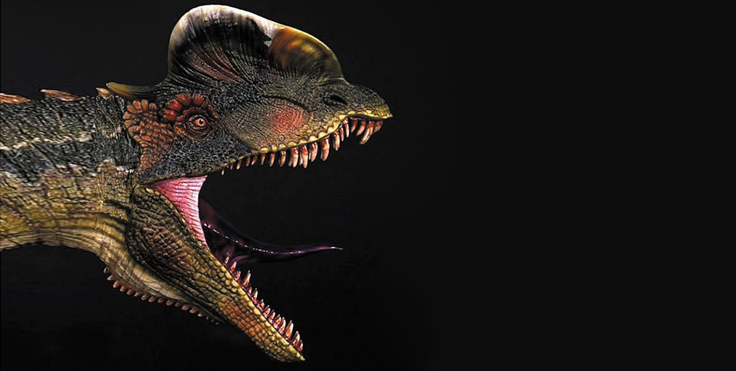 Mundo Dinosaurios y expo de cuadros 3D, en la Plaza Toros de Alicante
