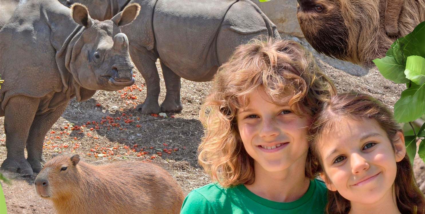 Precios especiales en marzo, para Terra Natura Benidorm