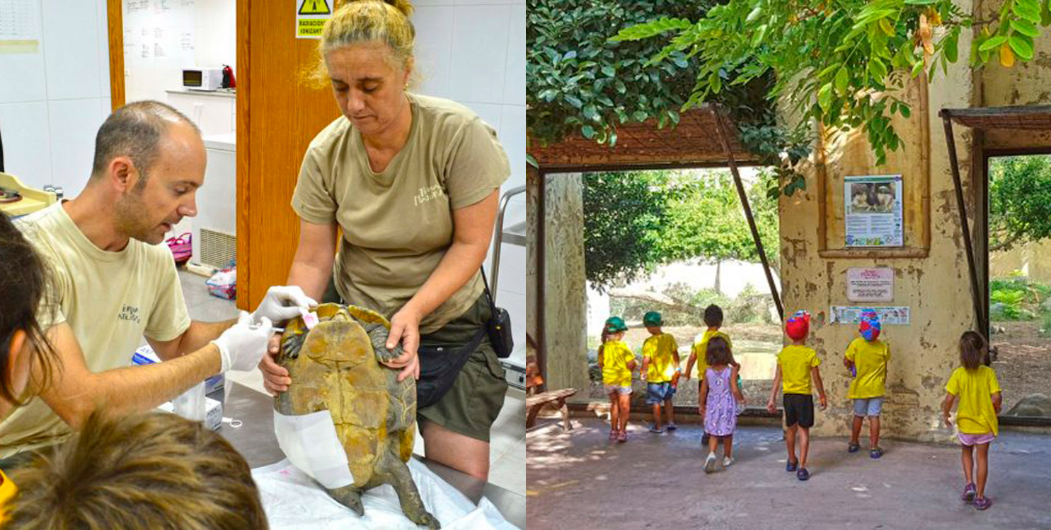 Los niños y niñas conocerán el trabajo de los veterinarios del parque
